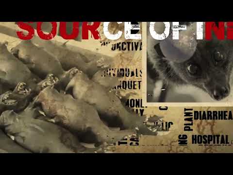 Camou student showreel